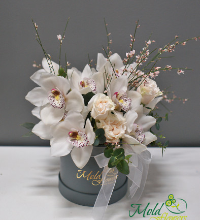 Box with White Orchids photo 394x433